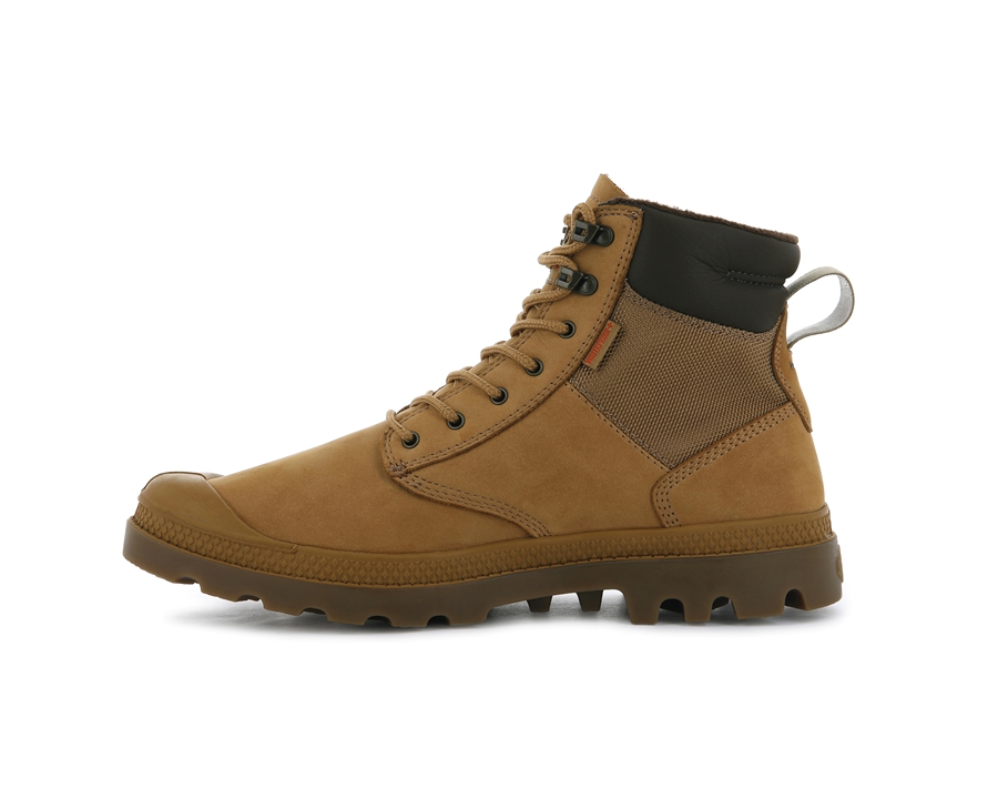 Gold Palladium Pampa | ODR963EP