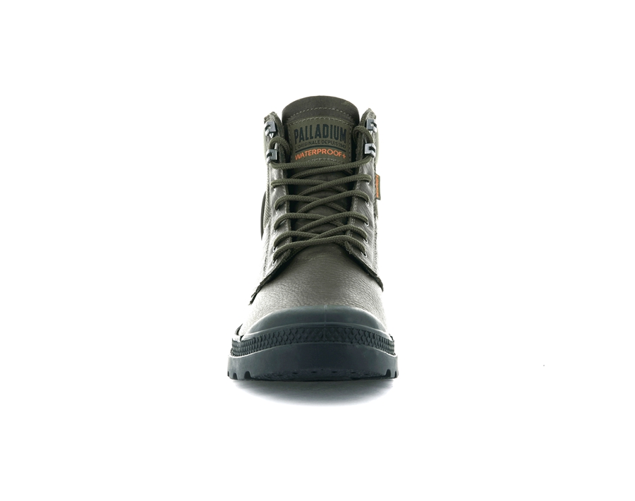 Olive Palladium Pampa | JAA6422EK