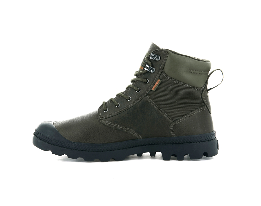 Olive Palladium Pampa | JAA6422EK