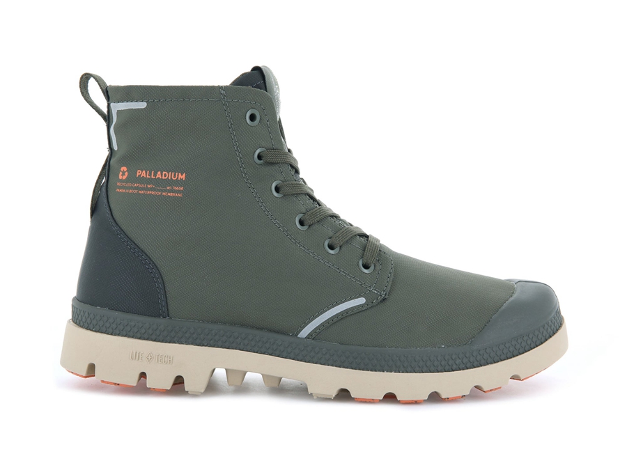 Olive Palladium Pampa | QIN4567YO